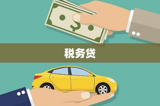 巴青税务贷
