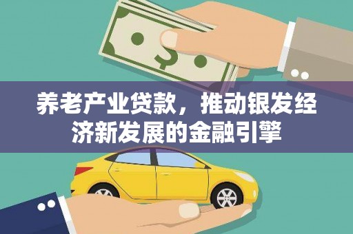 巴青养老产业贷款，推动银发经济新发展的金融引擎