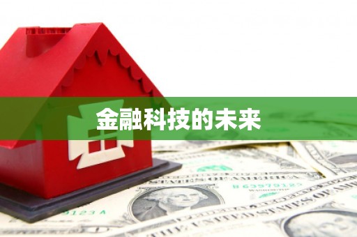 巴青金融科技的未来