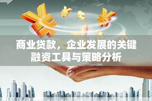 巴青商业贷款，企业发展的关键融资工具与策略分析