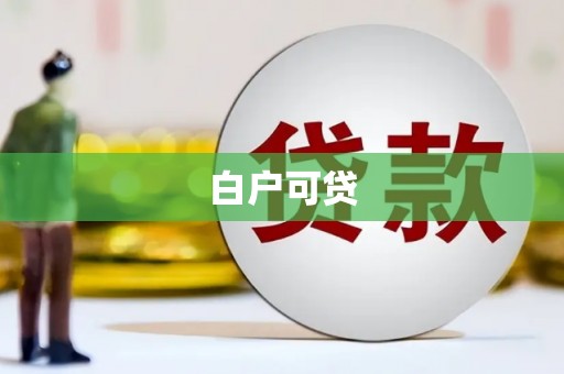 巴青白户可贷