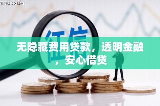 巴青无隐藏费用贷款，透明金融，安心借贷