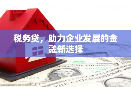 巴青税务贷，助力企业发展的金融新选择
