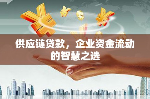 巴青供应链贷款，企业资金流动的智慧之选