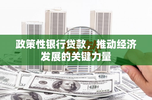 巴青政策性银行贷款，推动经济发展的关键力量
