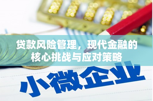 巴青贷款风险管理，现代金融的核心挑战与应对策略