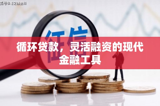 巴青循环贷款，灵活融资的现代金融工具