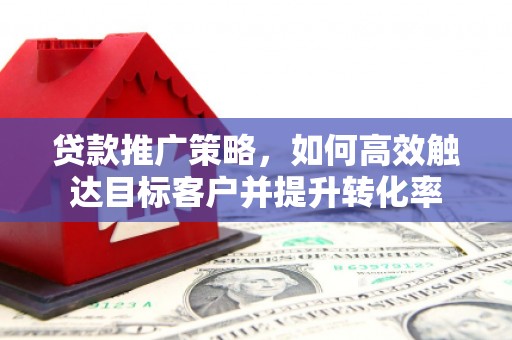 巴青贷款推广策略，如何高效触达目标客户并提升转化率