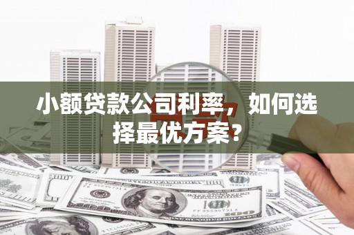 巴青小额贷款公司利率，如何选择最优方案？