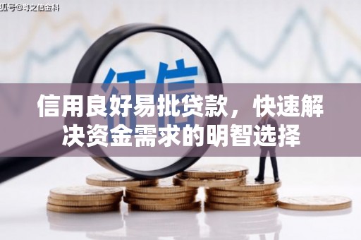 巴青信用良好易批贷款，快速解决资金需求的明智选择