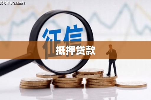 巴青抵押贷款