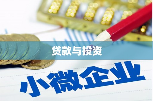 巴青贷款与投资