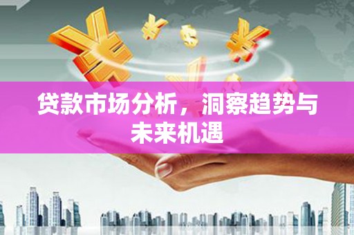 巴青贷款市场分析，洞察趋势与未来机遇