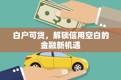 巴青白户可贷，解锁信用空白的金融新机遇