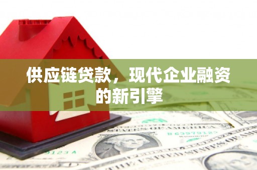 巴青供应链贷款，现代企业融资的新引擎