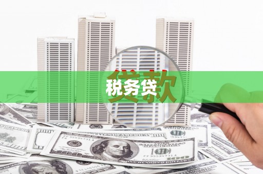 巴青税务贷