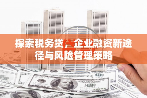 巴青探索税务贷，企业融资新途径与风险管理策略