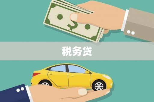 巴青税务贷