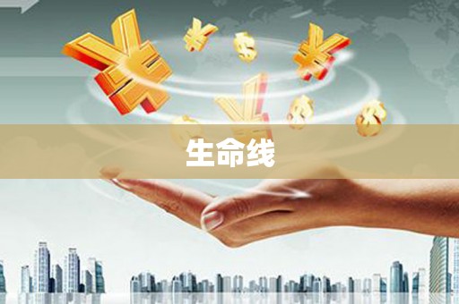 巴青生命线