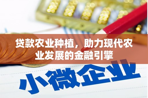 巴青贷款农业种植，助力现代农业发展的金融引擎