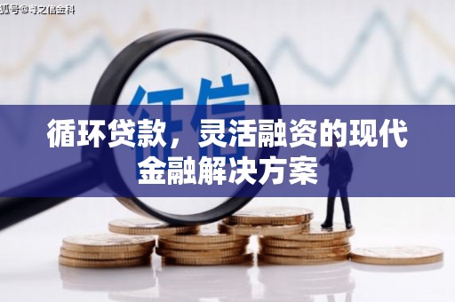 巴青循环贷款，灵活融资的现代金融解决方案
