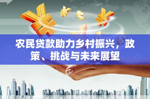 巴青农民贷款助力乡村振兴，政策、挑战与未来展望