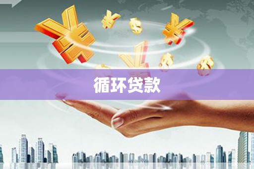 巴青循环贷款