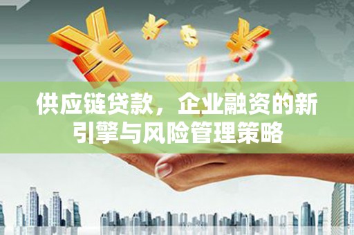 巴青供应链贷款，企业融资的新引擎与风险管理策略