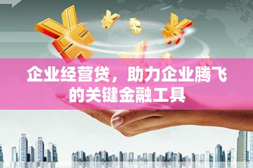 巴青企业经营贷，助力企业腾飞的关键金融工具