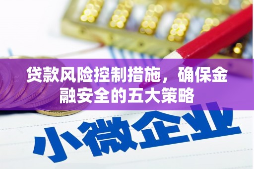 巴青贷款风险控制措施，确保金融安全的五大策略