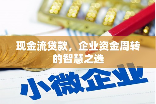 巴青现金流贷款，企业资金周转的智慧之选