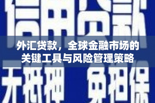 巴青外汇贷款，全球金融市场的关键工具与风险管理策略