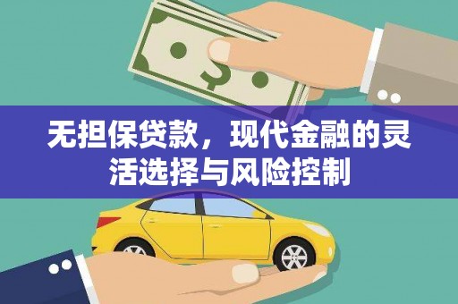 巴青无担保贷款，现代金融的灵活选择与风险控制