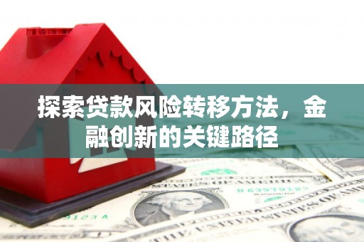 巴青探索贷款风险转移方法，金融创新的关键路径