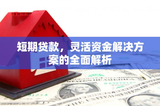 巴青短期贷款，灵活资金解决方案的全面解析