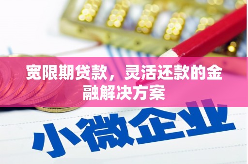巴青宽限期贷款，灵活还款的金融解决方案