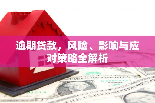 巴青逾期贷款，风险、影响与应对策略全解析