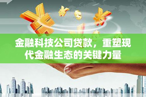 巴青金融科技公司贷款，重塑现代金融生态的关键力量