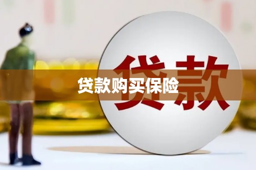 巴青贷款购买保险