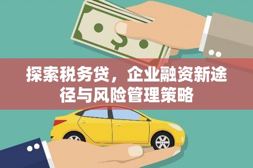 巴青探索税务贷，企业融资新途径与风险管理策略