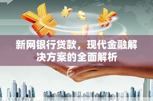 巴青新网银行贷款，现代金融解决方案的全面解析