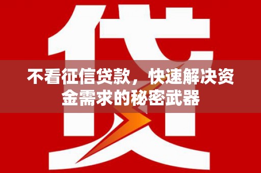 巴青不看征信贷款，快速解决资金需求的秘密武器