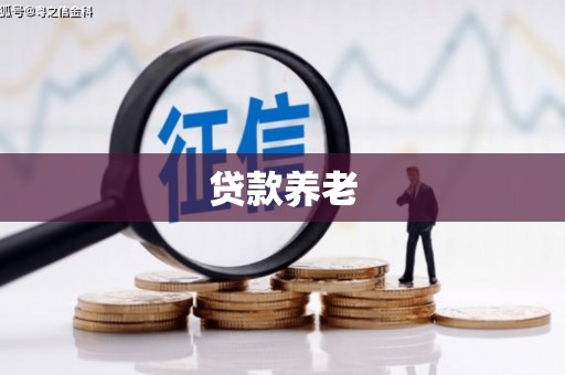 巴青贷款养老