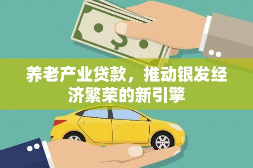 巴青养老产业贷款，推动银发经济繁荣的新引擎