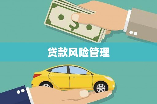 巴青贷款风险管理
