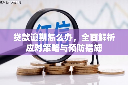 巴青贷款逾期怎么办，全面解析应对策略与预防措施