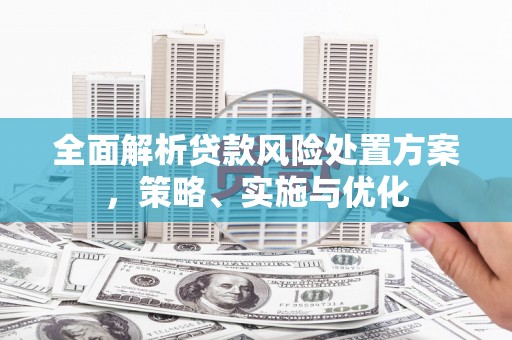 巴青全面解析贷款风险处置方案，策略、实施与优化