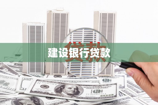 巴青建设银行贷款