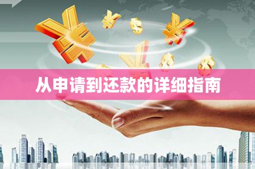 巴青从申请到还款的详细指南