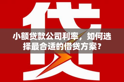 巴青小额贷款公司利率，如何选择最合适的借贷方案？